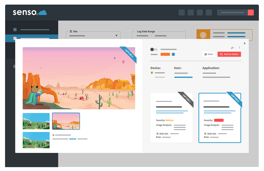 Senso Safeguard Cloud Assisted Monitoring Service