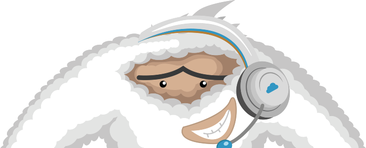 Network and classroom management experts